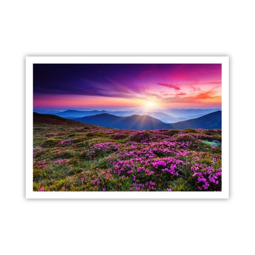 Poster - Smells Strongly of Herbs - 100x70 cm