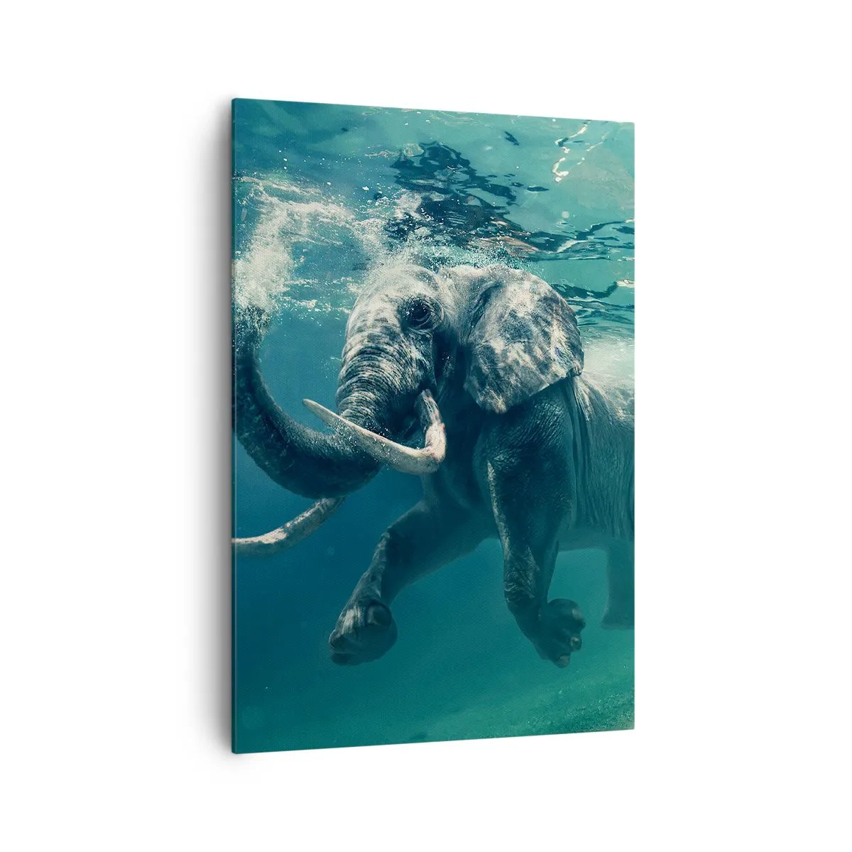 Canvas picture - Everyone Likes to Swim - 70x100 cm