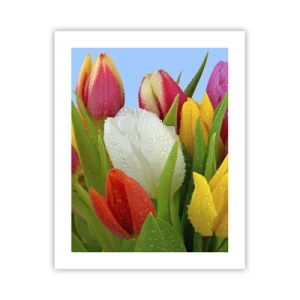 Poster - Floral Rainbow in Dew Drops - 40x50 cm
