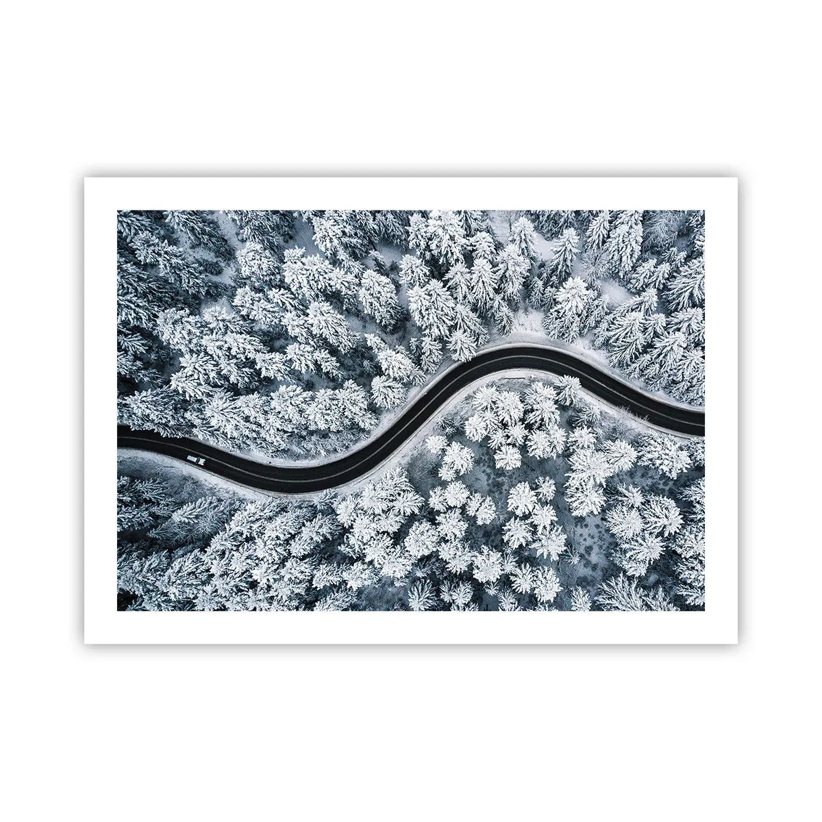 Poster - Through Wintery Forest - 70x50 cm