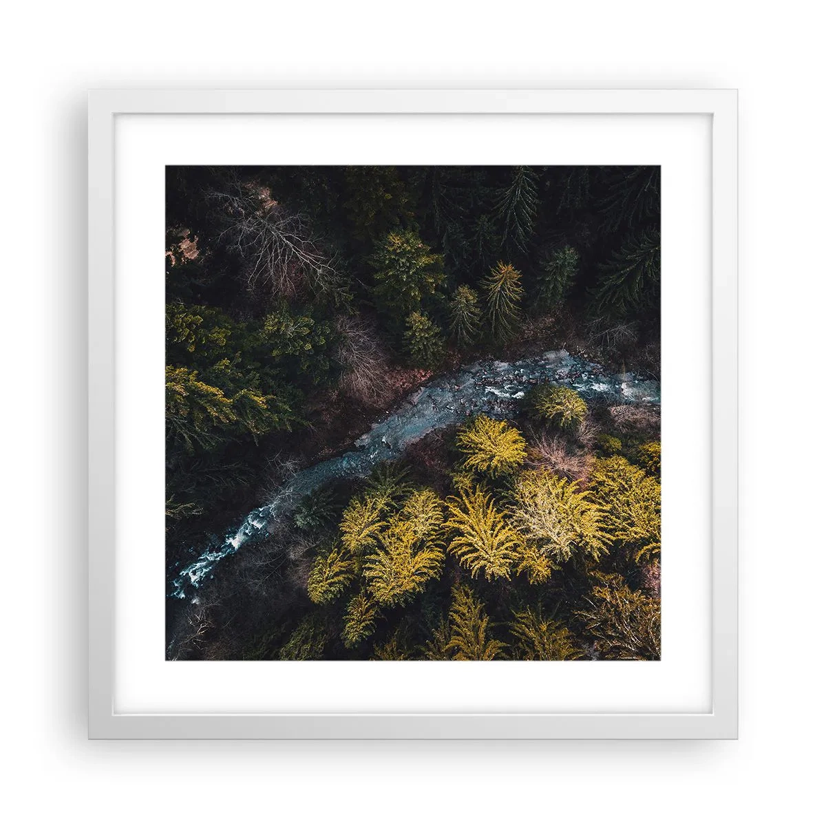 Poster in white frmae - Fast and Faster - 40x40 cm