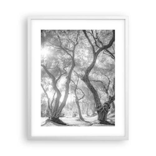 Poster in white frmae - In an Olive Grove - 40x50 cm