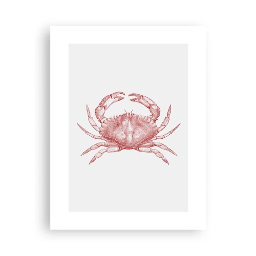 Poster - Crab Like No Other - 30x40 cm
