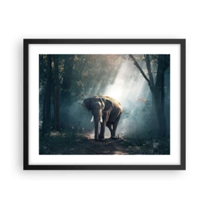 Poster in black frame - Quiet Stroll - 50x40 cm