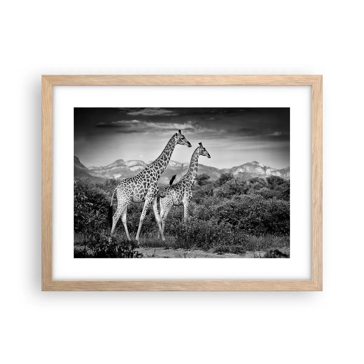 Poster in light oak frame - Higher Spheres in Africa - 40x30 cm