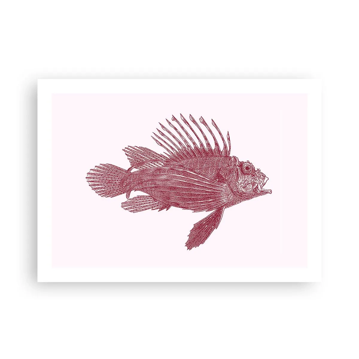 Poster - Dweller of Exotic Waters - 70x50 cm