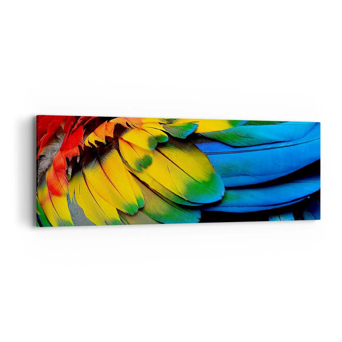 Canvas picture - Bird Of Paradise - 90x30 cm