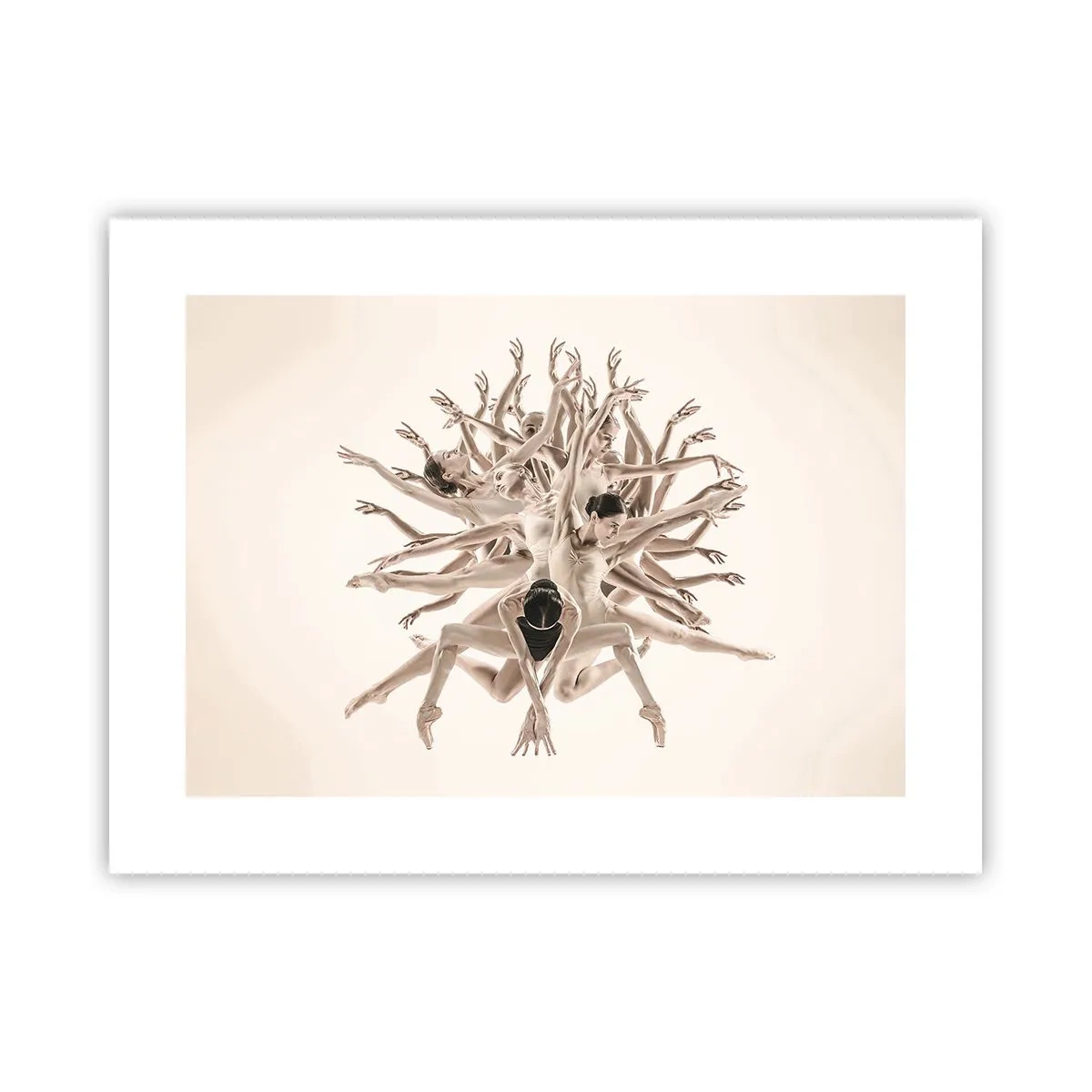 Poster - Dance in Bloom - 40x30 cm
