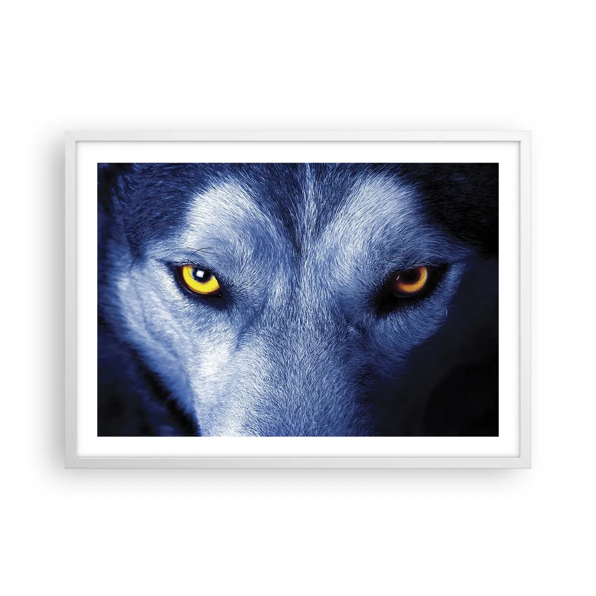 Poster in white frmae - Mesmerising Look - 70x50 cm