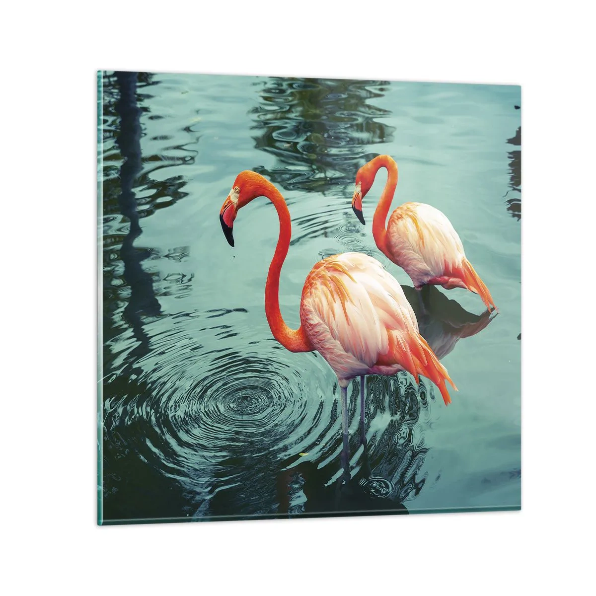 Glass picture - We Are En Vogue Now - 30x30 cm