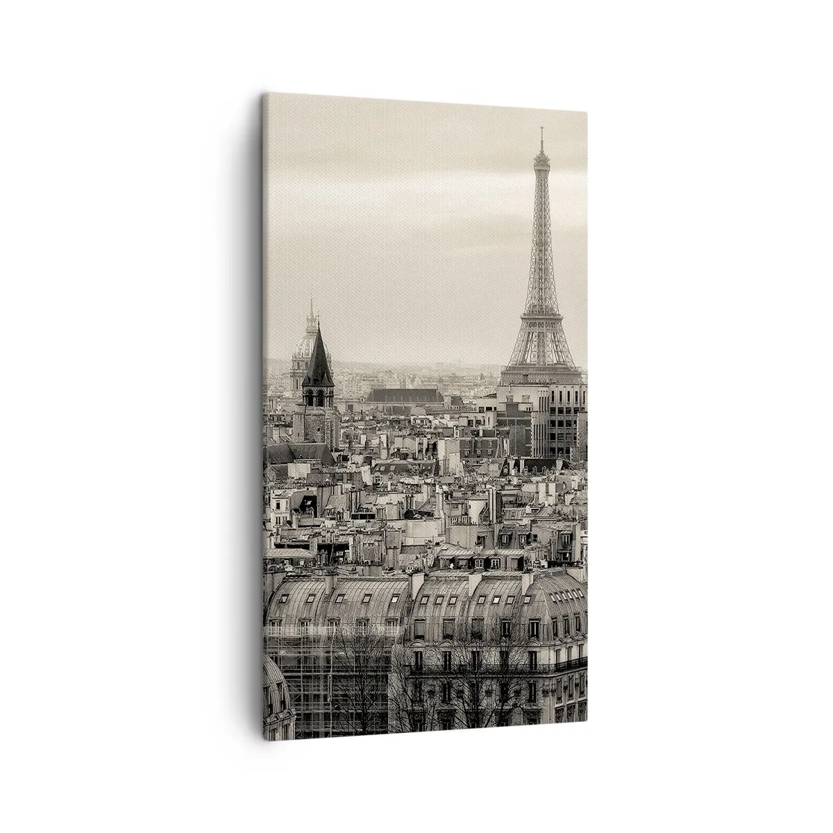 Canvas picture - Over the Roofs of Paris - 45x80 cm