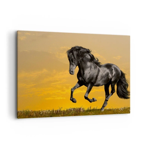 Canvas picture - Beautiful, Free and Wild - 100x70 cm