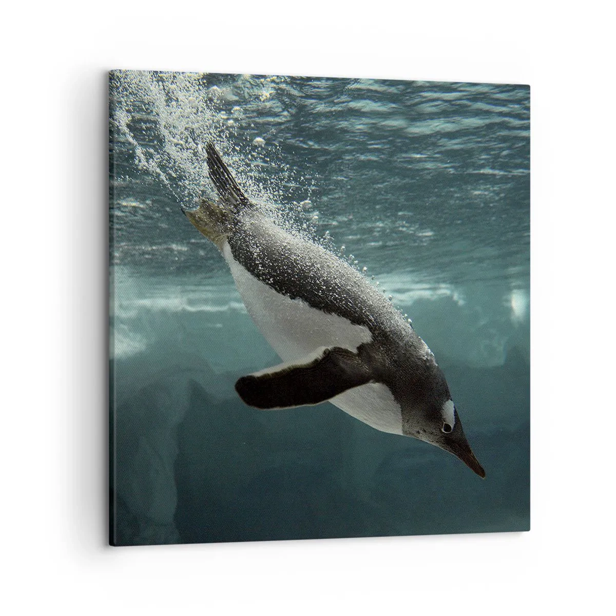 Canvas picture - Welcome to My World - 50x50 cm