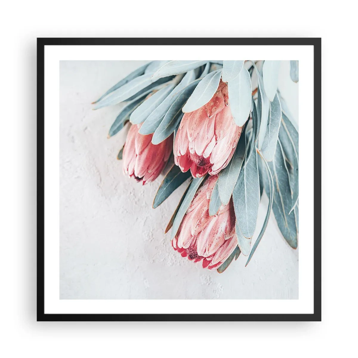 Poster in black frame - Ashamed of Their Own Beauty - 60x60 cm
