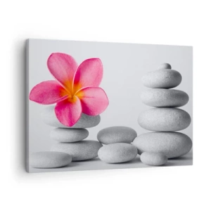 Canvas picture - Pink flower on zen style stones - 70x50cm - Stone on Stone - Modern wall decoration for the living room and bedroom ARTTOR