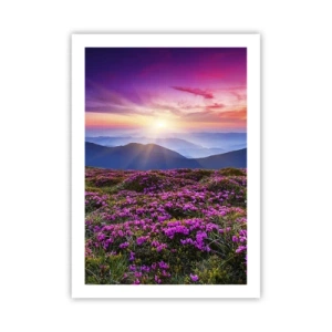 Poster - Smells Strongly of Herbs - 50x70 cm