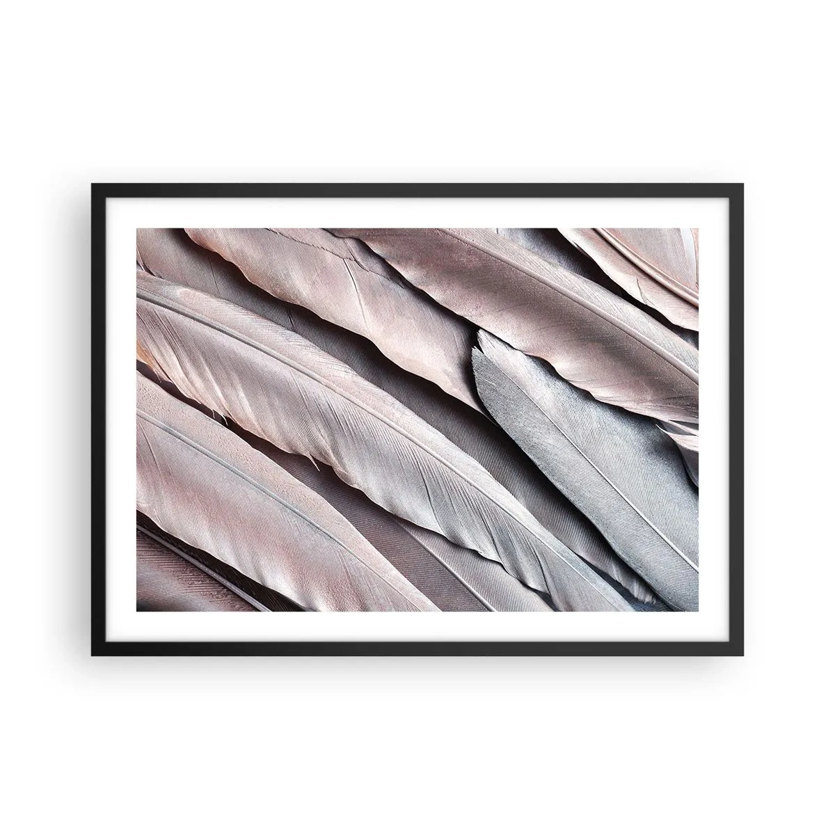 Poster in black frame - In Pink Silverness - 70x50 cm
