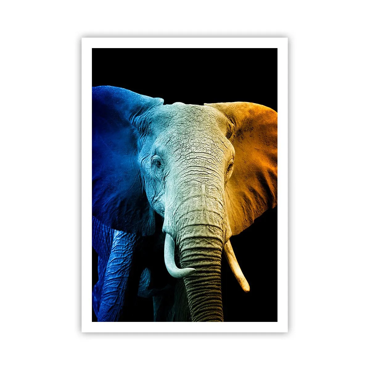 Poster - Eccentric, Not a Weirdo - 70x100 cm
