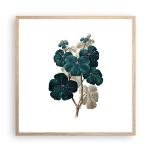Poster in light oak frame - From the Old Herbarium - 60x60 cm