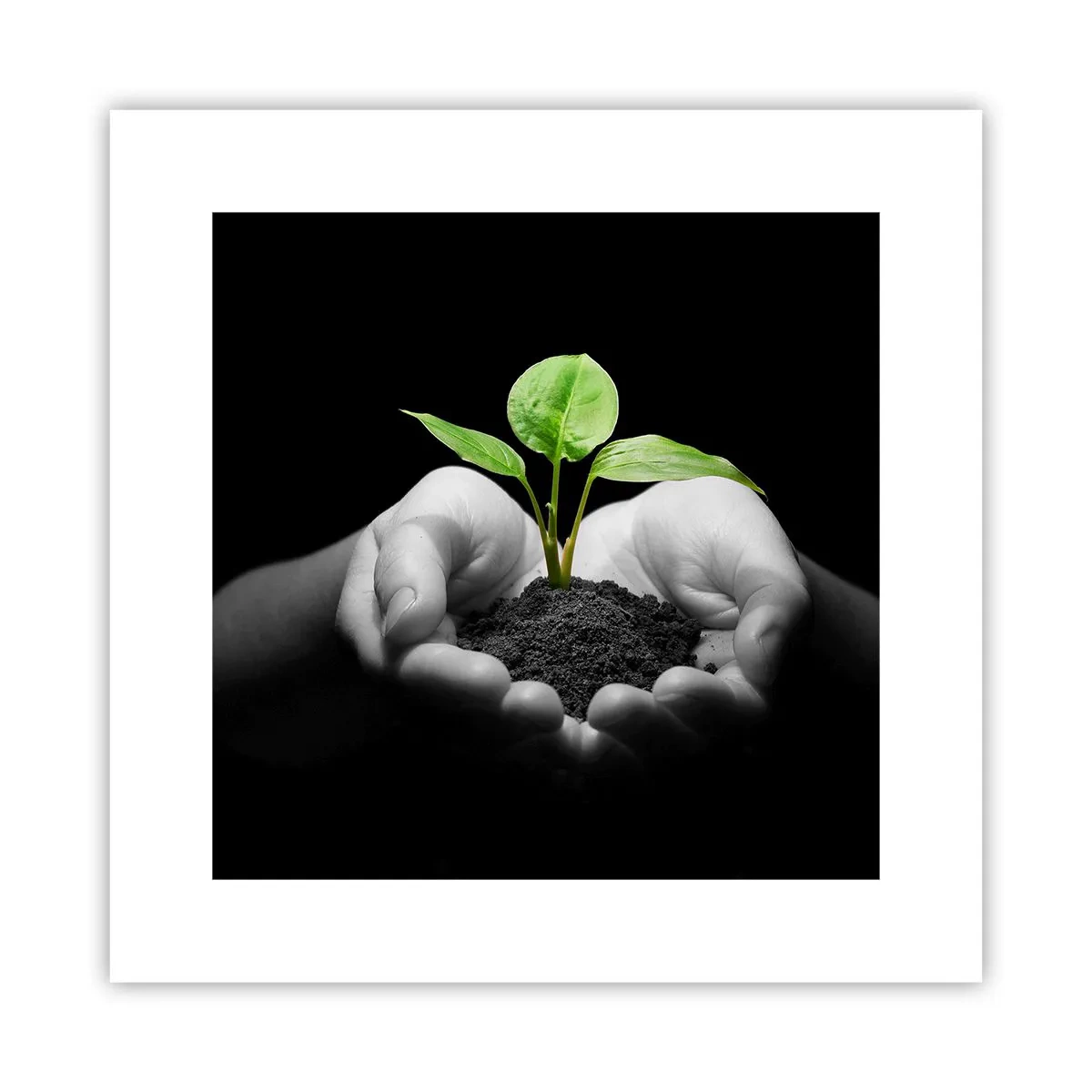 Poster - I Love Nature, I Protect It - 30x30 cm