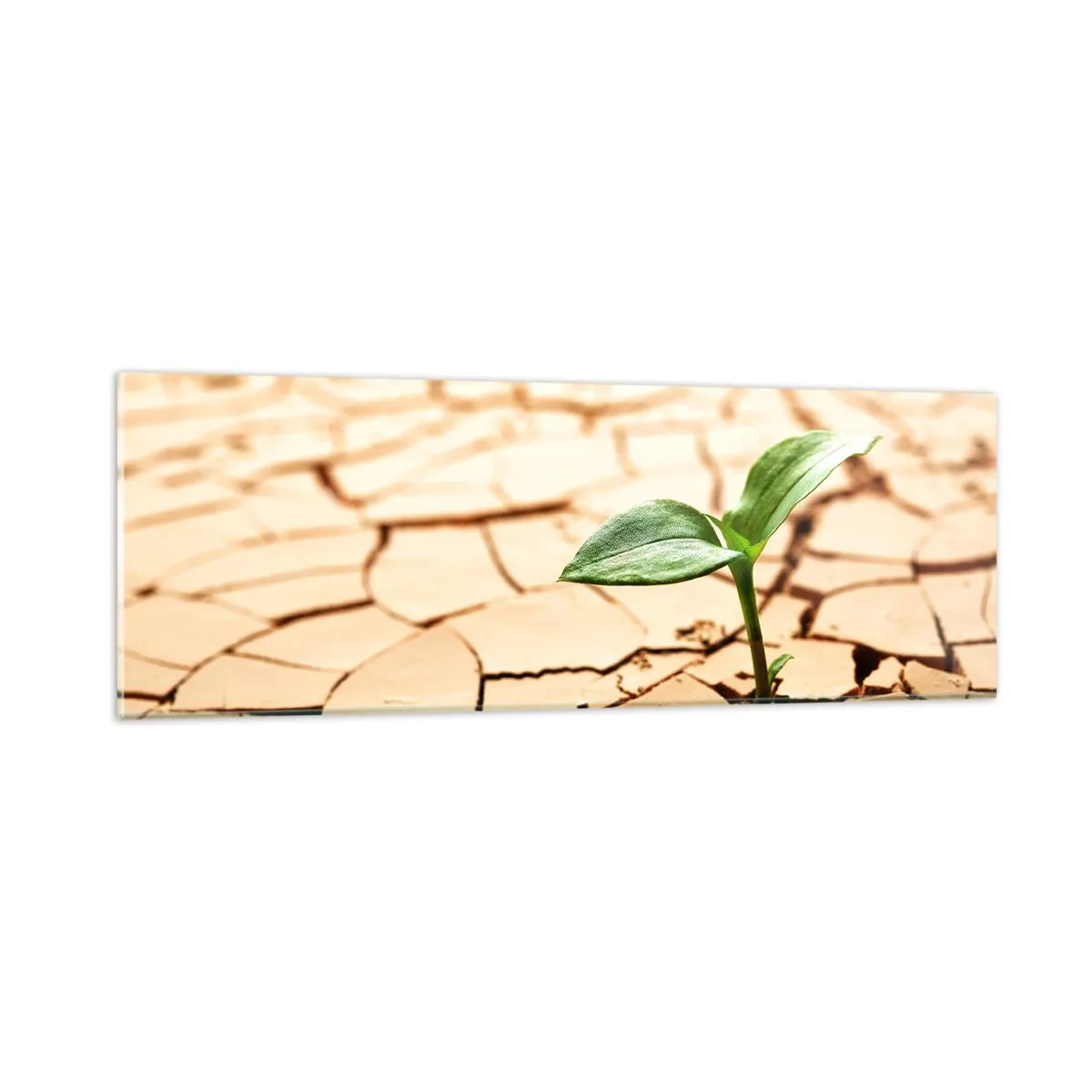Glass picture - Untamed Life Force - 90x30 cm