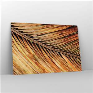 Glass picture - Coconut Gold - 120x80 cm