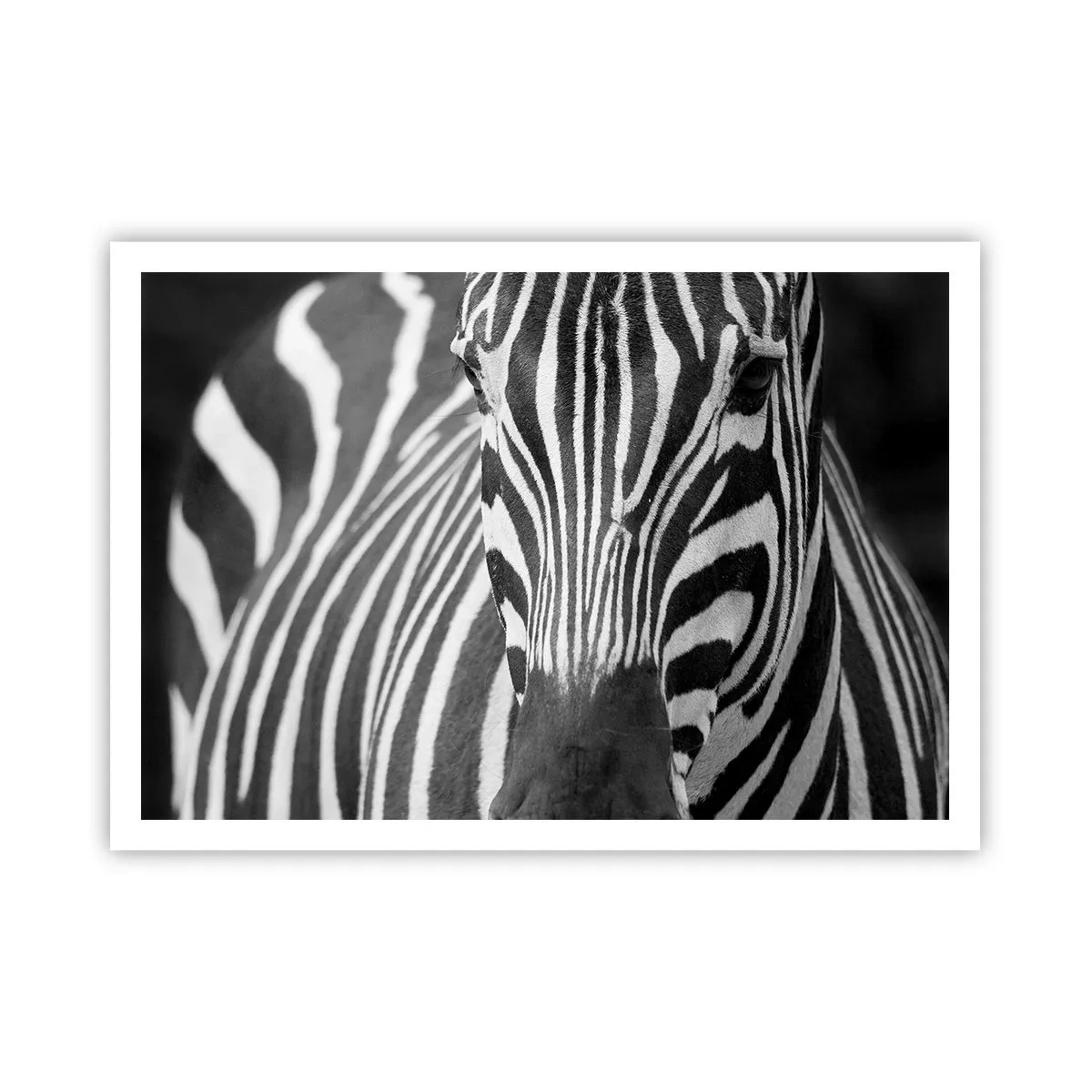 Poster - World Is Black and White - 100x70 cm