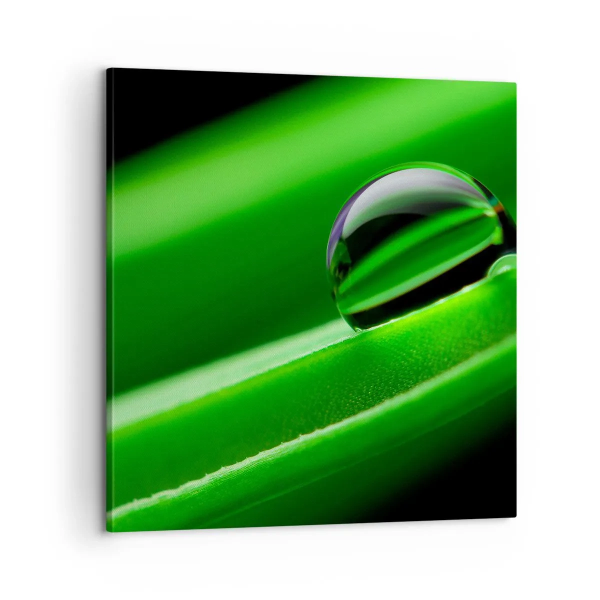 Canvas picture - Life from a Close-Up - 60x60 cm