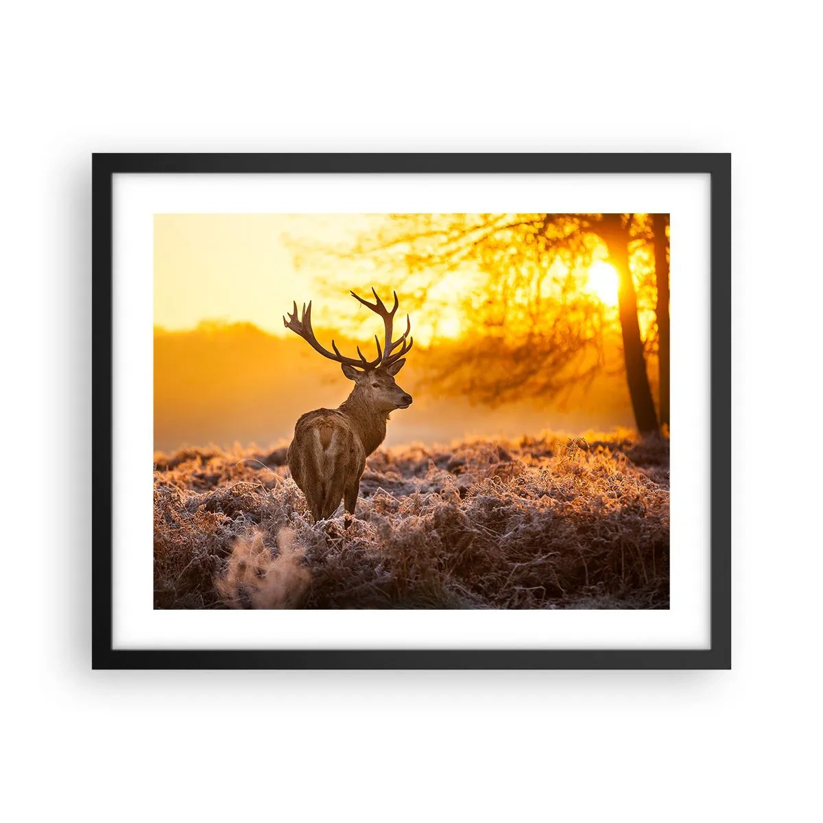 Poster in black frame - King of Autumnal Forest - 50x40 cm
