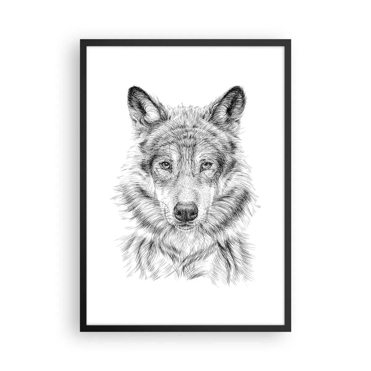 Poster in black frame - Detailed drawing of a wolf in black and white style - 50x70cm - Born Leader - Modern wall decoration for the living room and bedroom ARTTOR