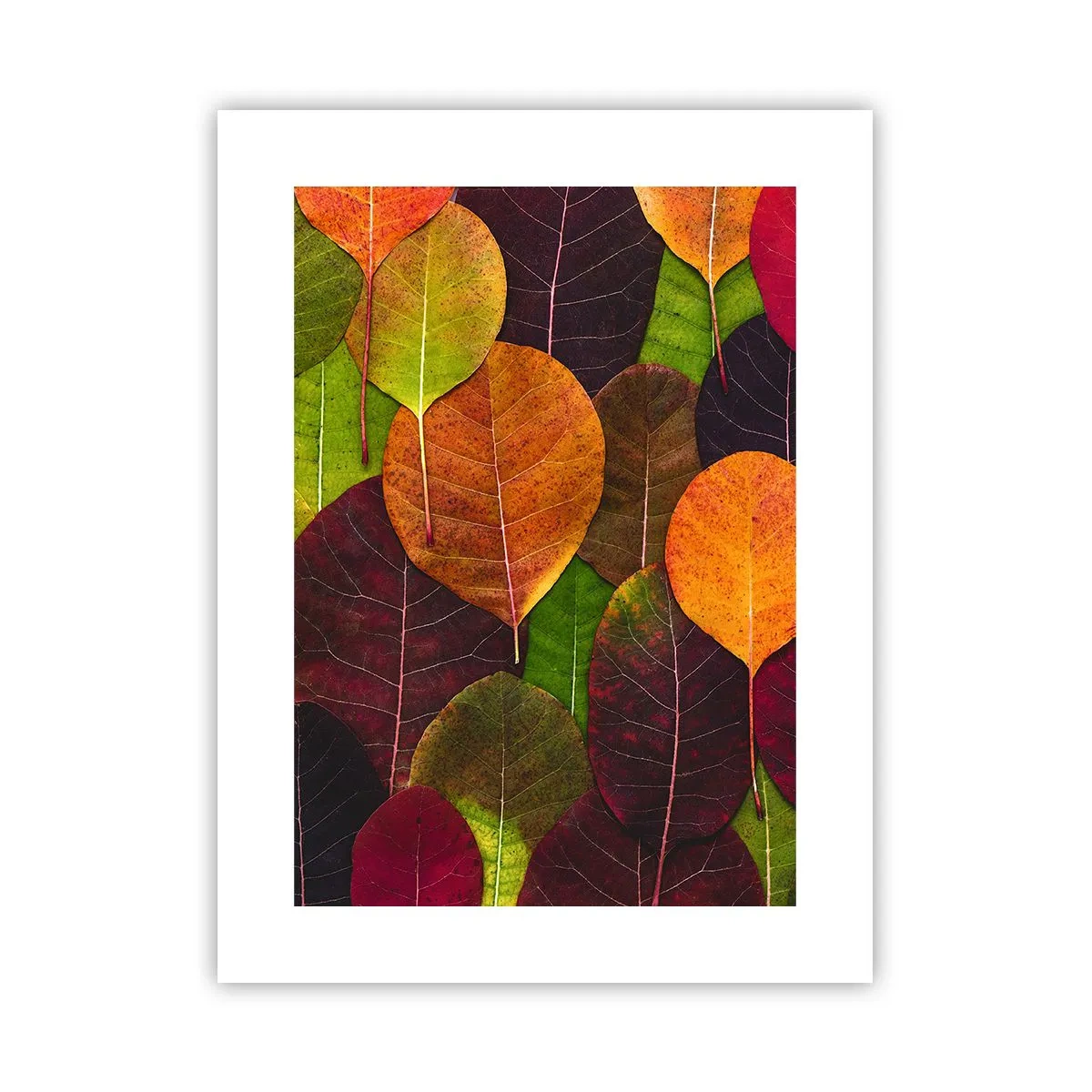 Poster - Autumn Mosaics - 30x40 cm