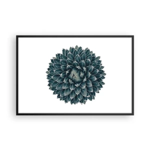 Poster in black frame - Star of the Desert - 91x61 cm
