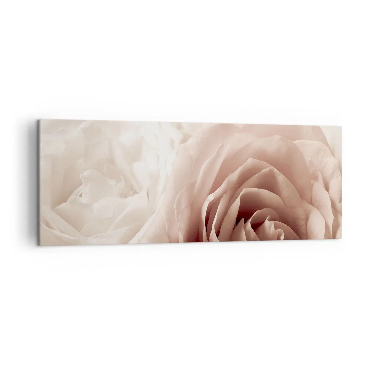 Canvas picture - In the Heart of a Rose - 140x50 cm