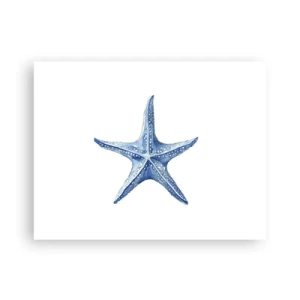 Poster - Sea Star - 40x30 cm