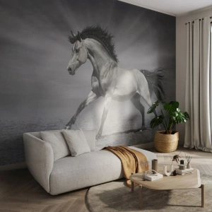 Self-Adhesive Photo Wallpaper Deluxe Sticker - Born to Amaze - Animals, Horse, Nature - 450x315 cm