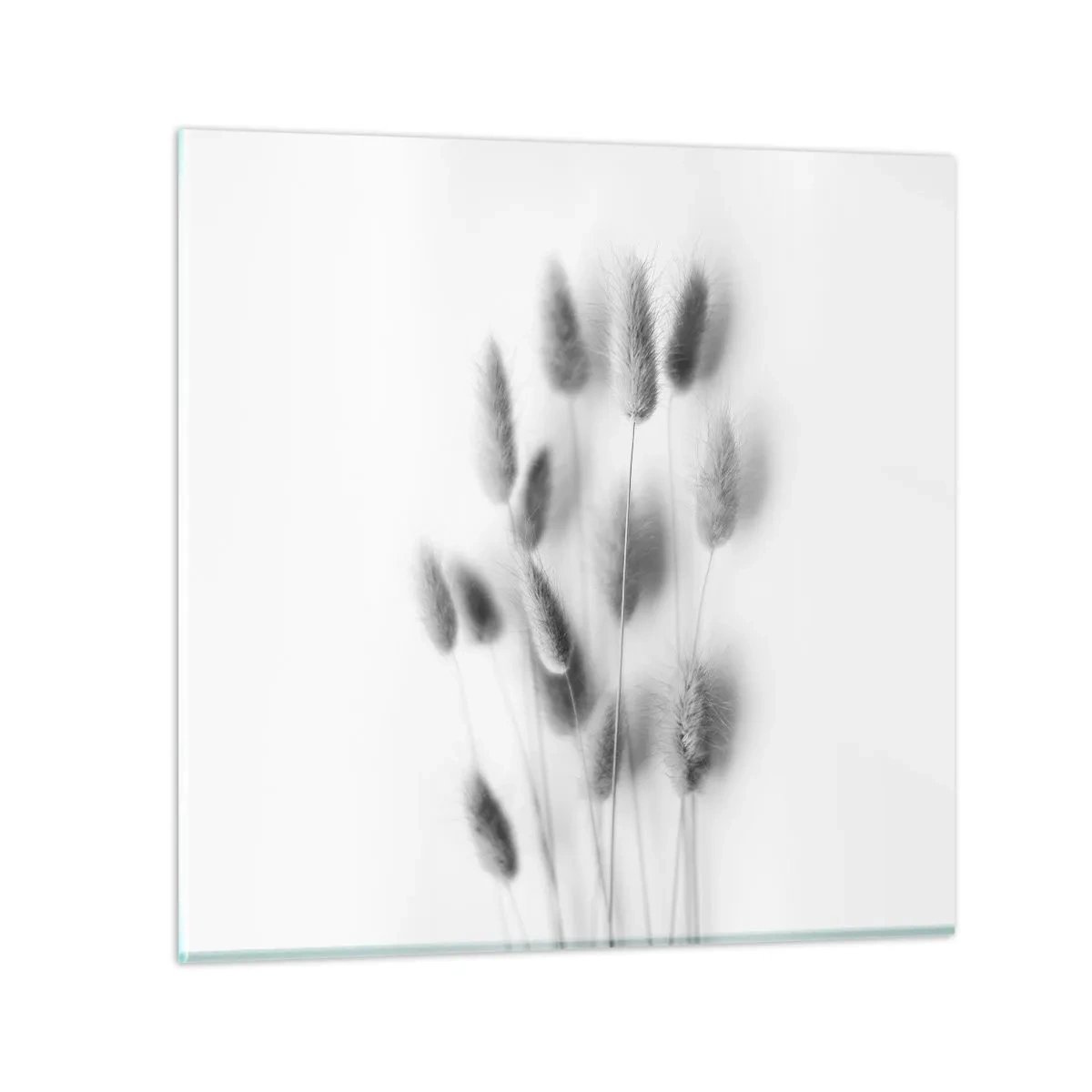 Glass picture - Her Softness Grass - 40x40 cm