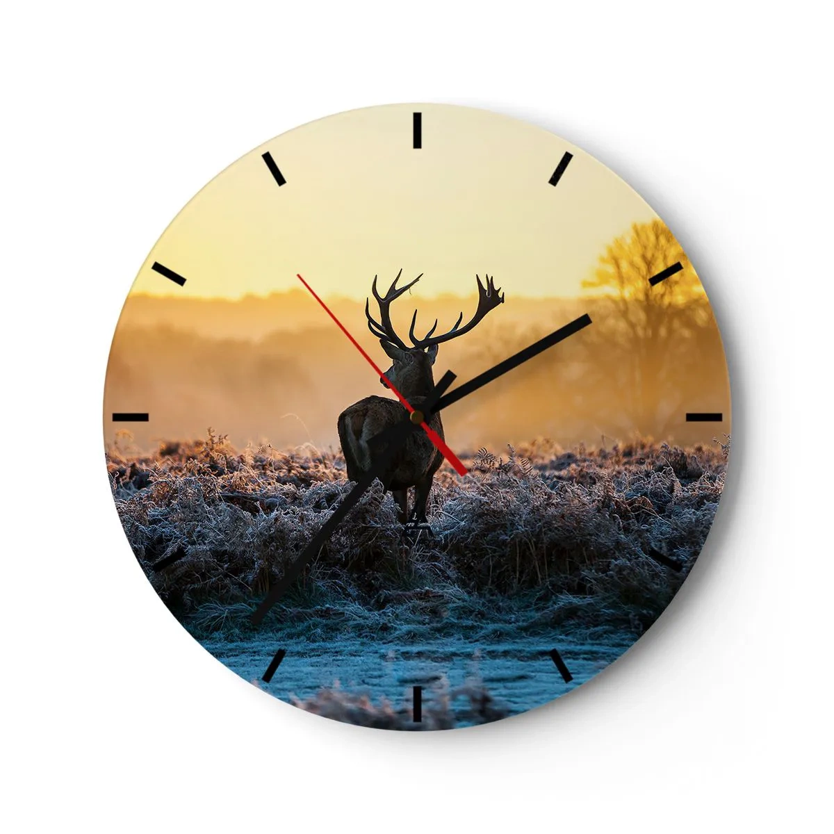 Wall clock - Clock on glass - Crowned in Its Kingdom - 40x40 cm