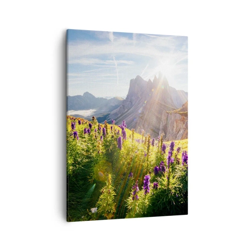 Canvas picture - Secret Life of Herbs - 50x70 cm