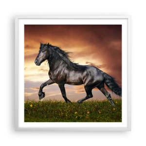 Poster in white frmae - Black Prince - 60x60 cm