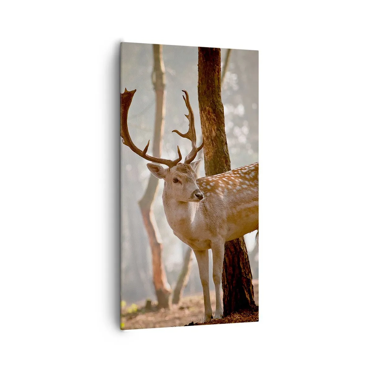 Canvas picture - Light of Youth - 65x120 cm