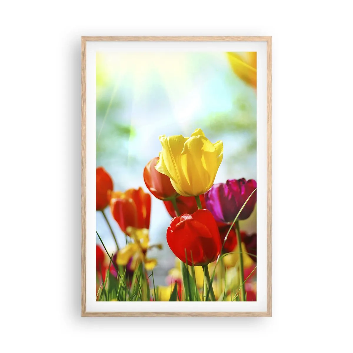 Poster in light oak frame - All Colours of the Sun - 61x91 cm