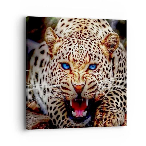 Canvas picture - Angry but Still Beautiful - 40x40 cm