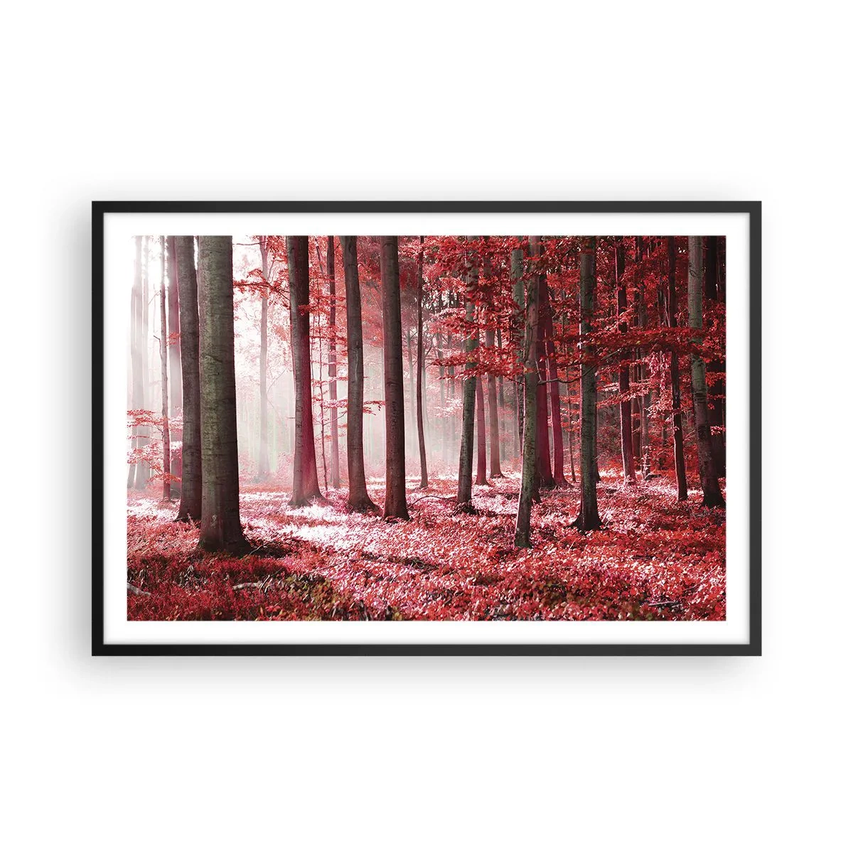 Poster in black frame - Red Equally Beautiful - 91x61 cm