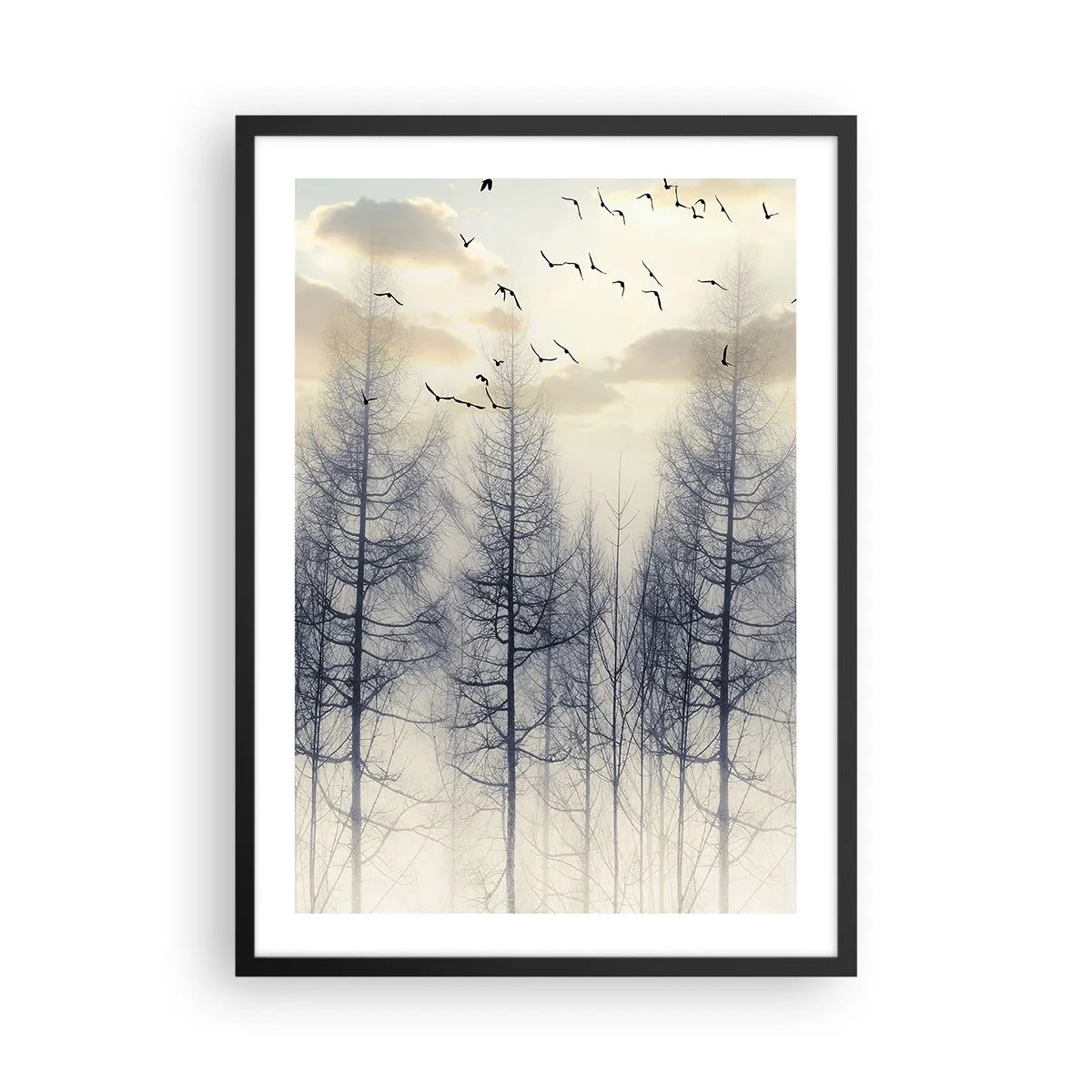 Poster in black frame - A misty forest with tall trees and flying birds in the morning - 50x70cm - Spirits of the Forest - Modern wall decoration for the living room and bedroom ARTTOR