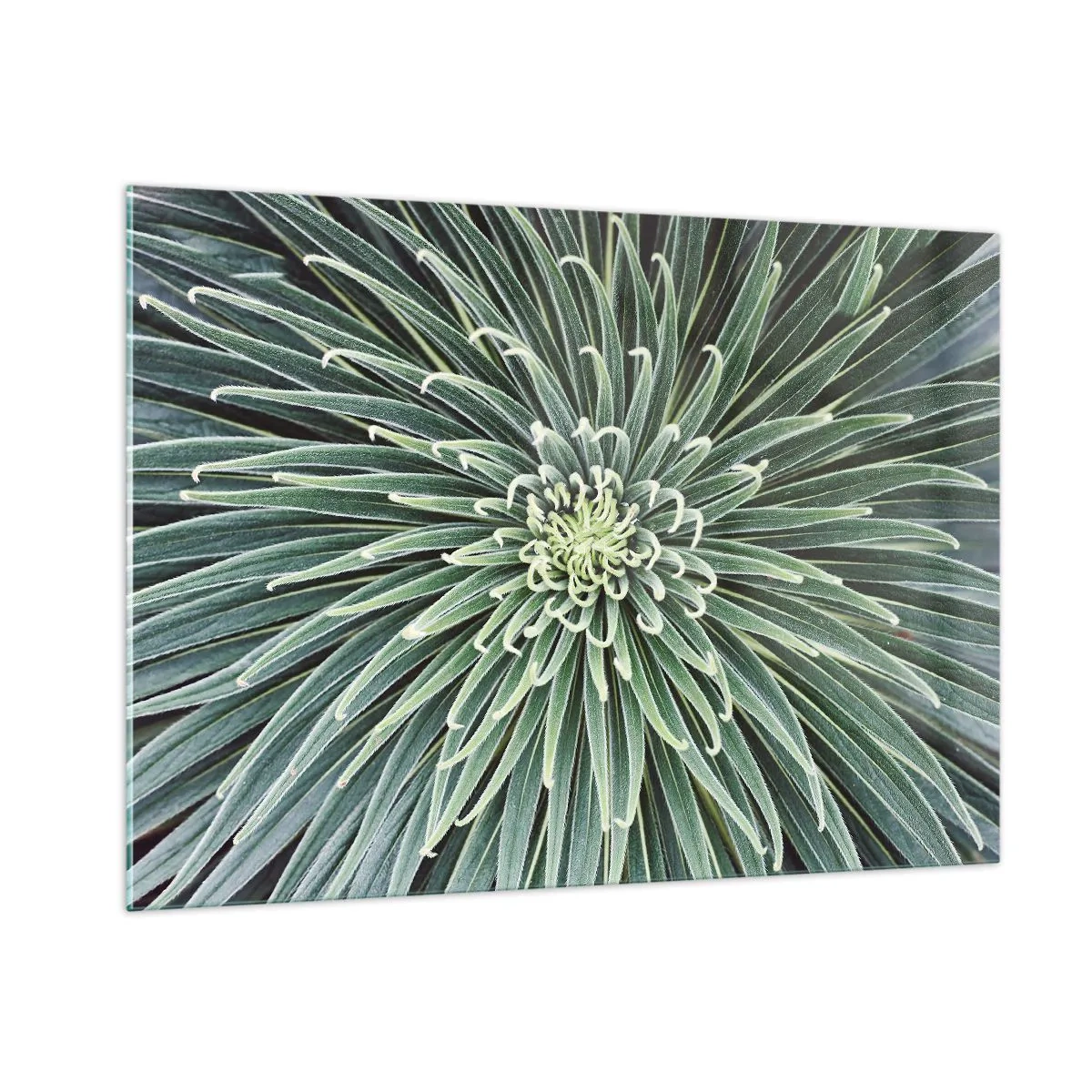 Glass picture - Birth of a Star - 100x70 cm