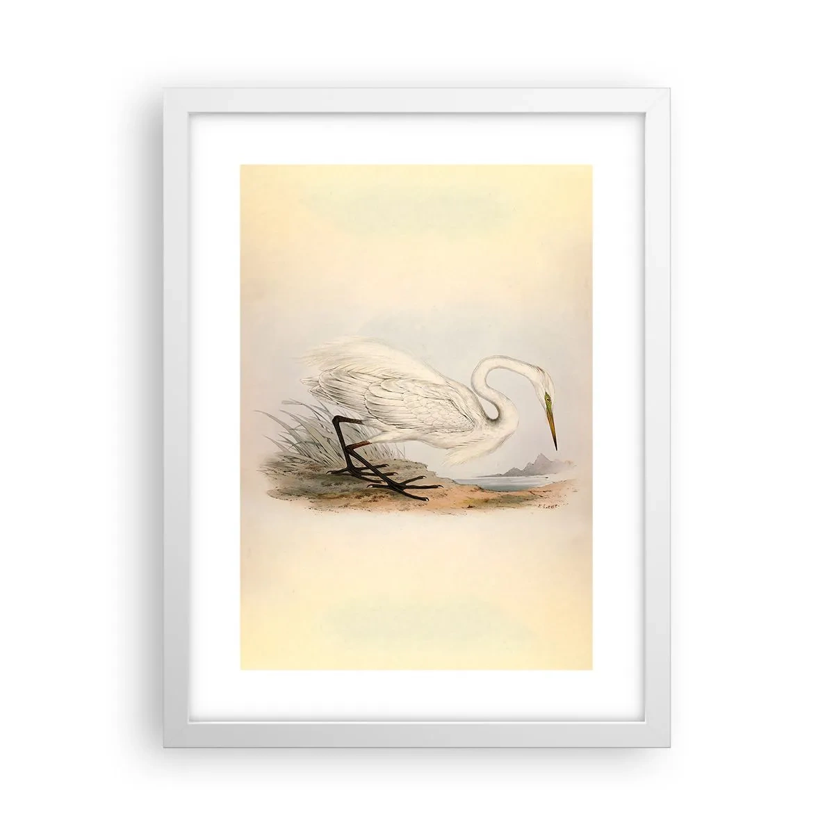 Poster in white frmae - Lady on the Marsh - 30x40 cm