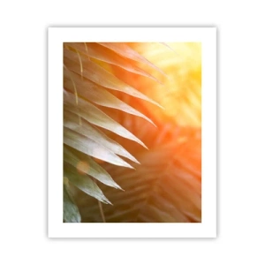 Poster - Morning in the Jungle - 40x50 cm