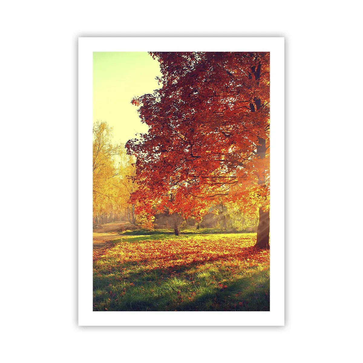 Poster - Ginger Is Beautiful - 50x70 cm