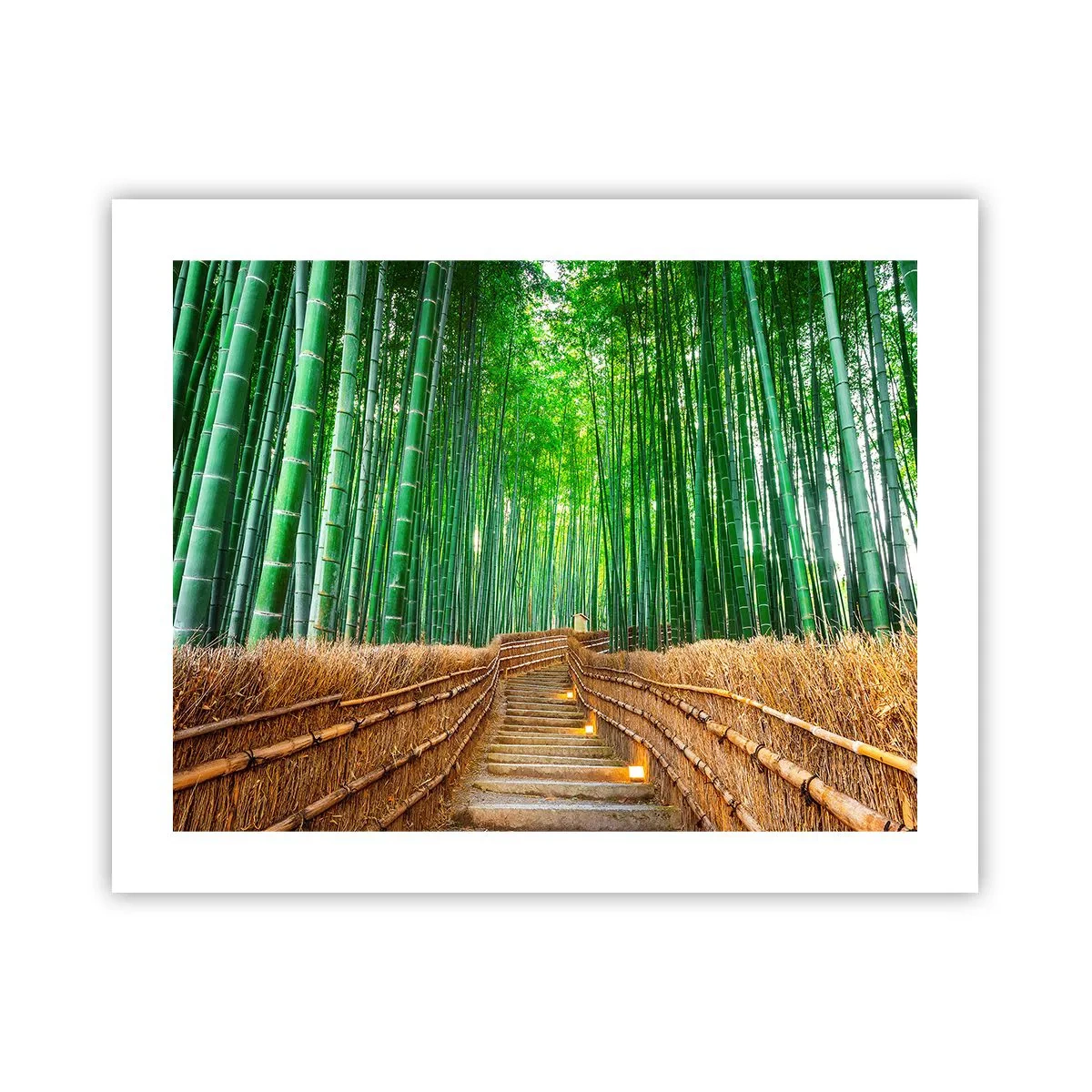 Poster - Essence of Asian Nature - 50x40 cm