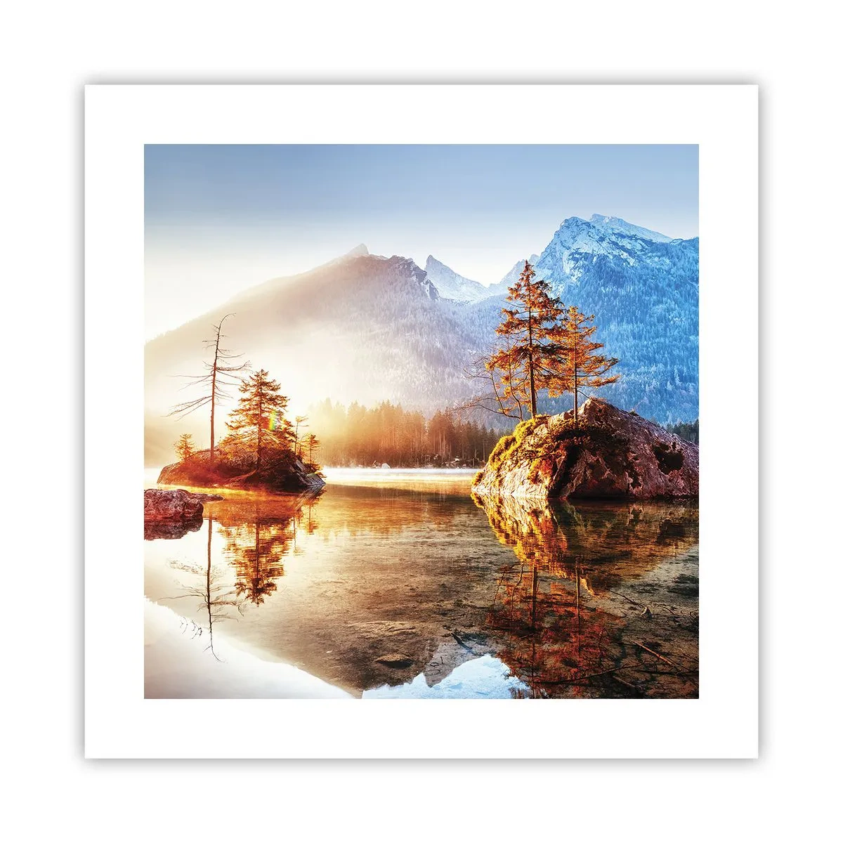 Poster - Nature in New Light - 40x40 cm